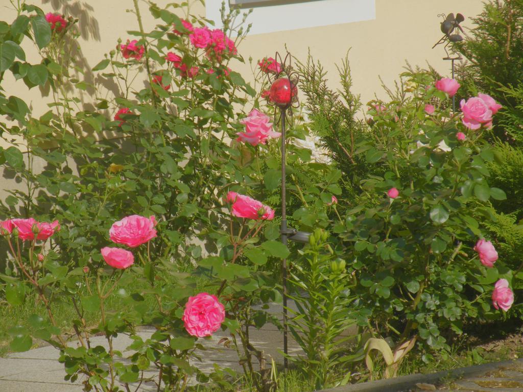 Am Lindenbaum Bed & Breakfast Sebnitz Dış mekan fotoğraf