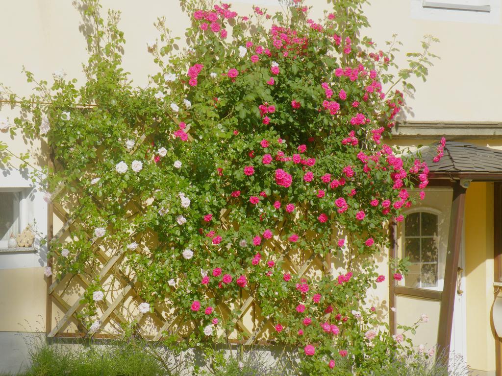 Am Lindenbaum Bed & Breakfast Sebnitz Dış mekan fotoğraf